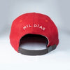 Crowned Heads x Ebbets Field Flannels - Limited Edition Mil Días Cap